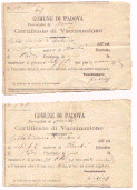 Certificado de vacinao de irmos de meu bisav quando vieram da Itlia.
